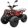 Детский электроквадроцикл GreenCamel Атакама T120 800W R8 20Ah