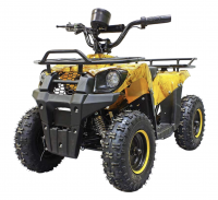 Детский электроквадроцикл GreenCamel Гоби K45 800W R6 12Ah